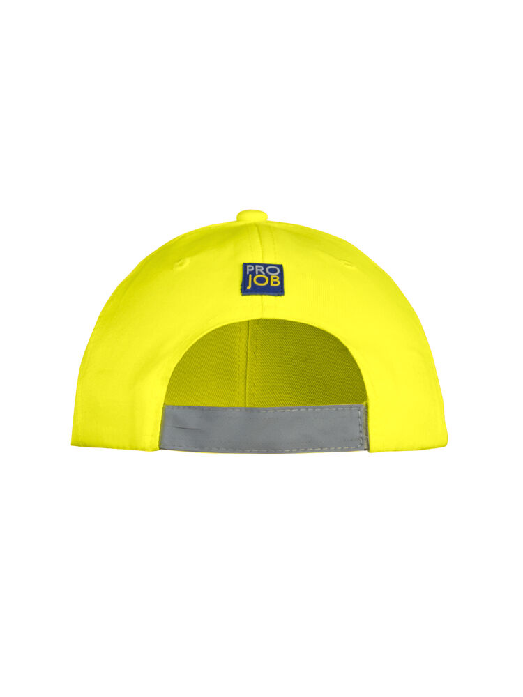 PROJOB 9013 cap 2
